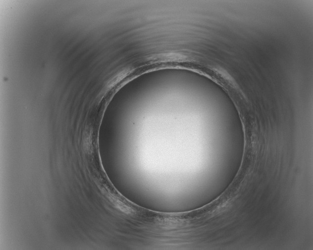 X0000080180873200612151946