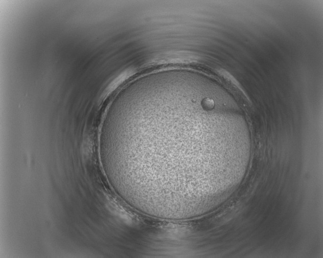 X0000080180874200612151946