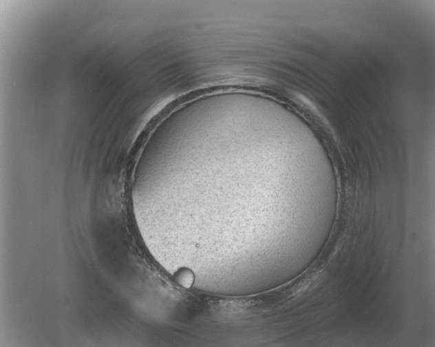 X0000080180875200612151946