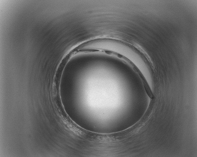 X0000080180876200612151946