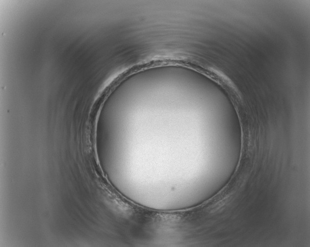 X0000080180878200612151946