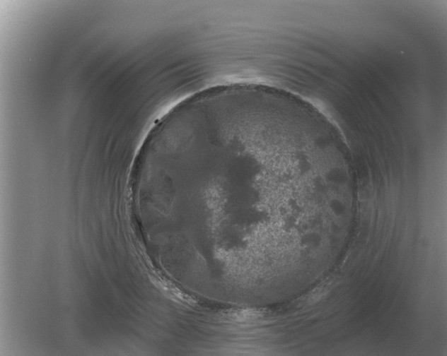 X0000080180879200612151945