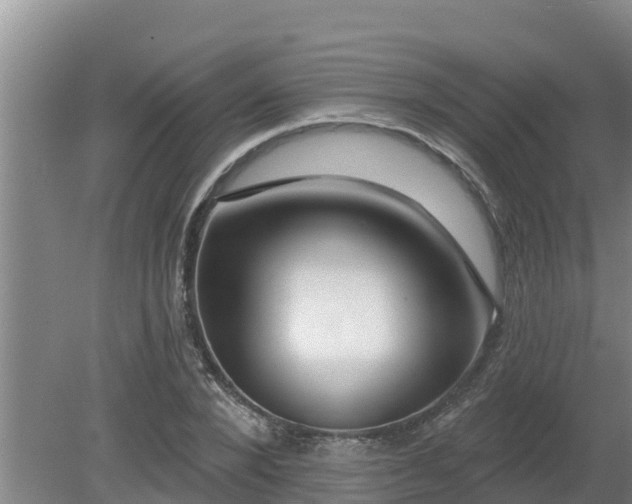 X0000080180880200612151945