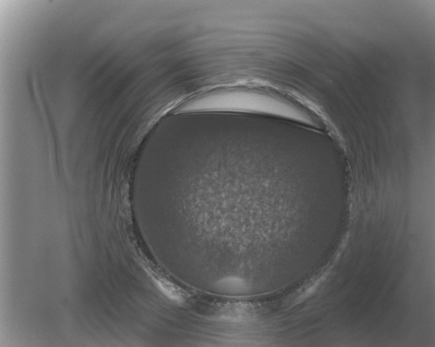 X0000080180881200612151945