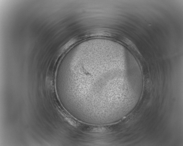 X0000080180882200612151945