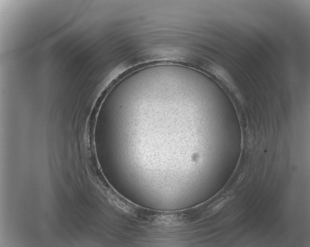 X0000080180883200612151945