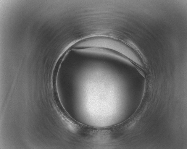 X0000080180884200612151945