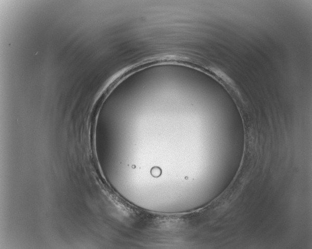 X0000080180886200612151945