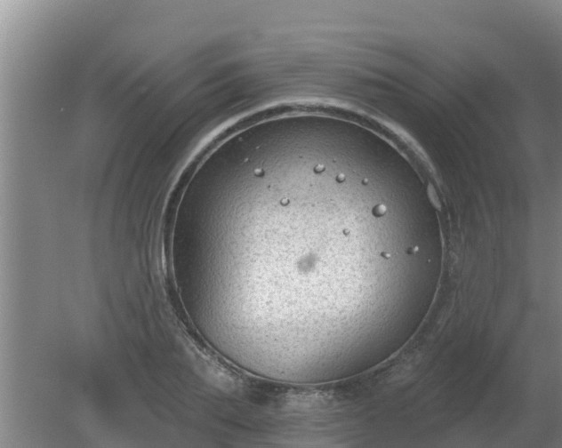 X0000080180887200612151945