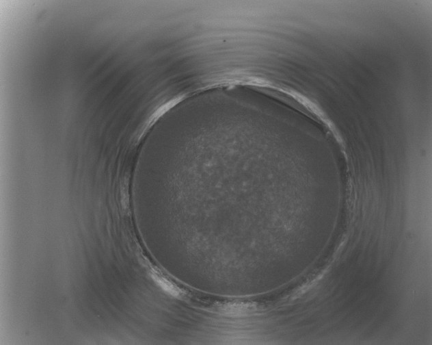 X0000080180889200612151945