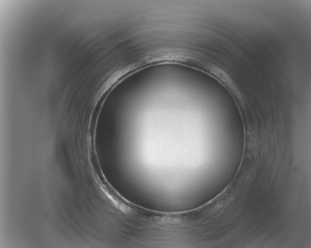 X0000080180890200612151945