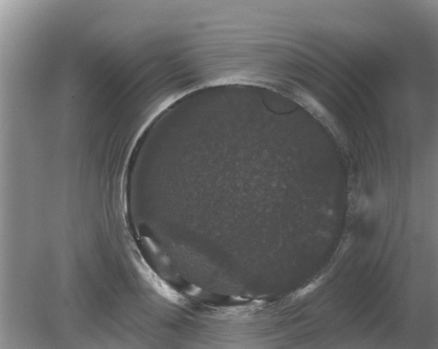 X0000080180892200612151945