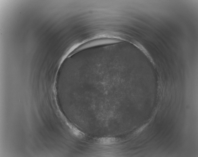 X0000080180893200612151945