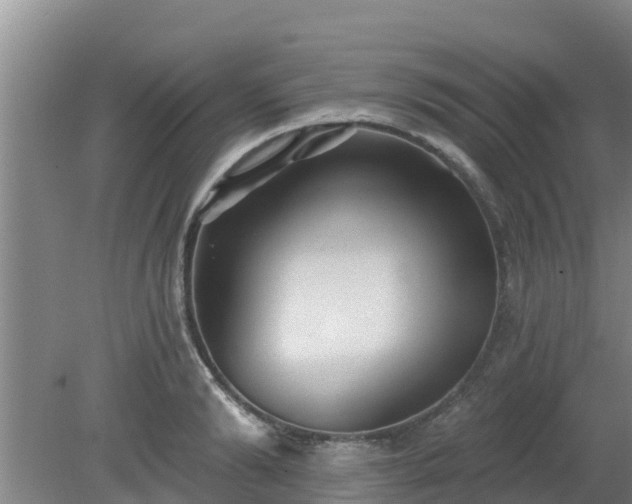 X0000080180894200612151945