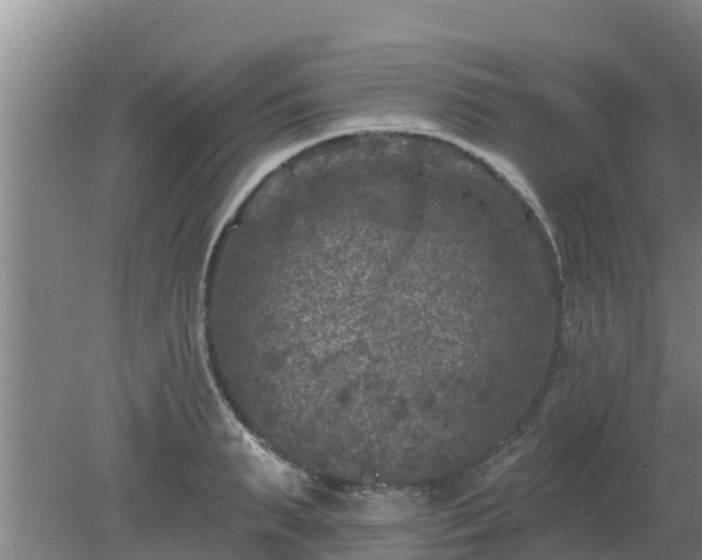 X0000080180895200612151945