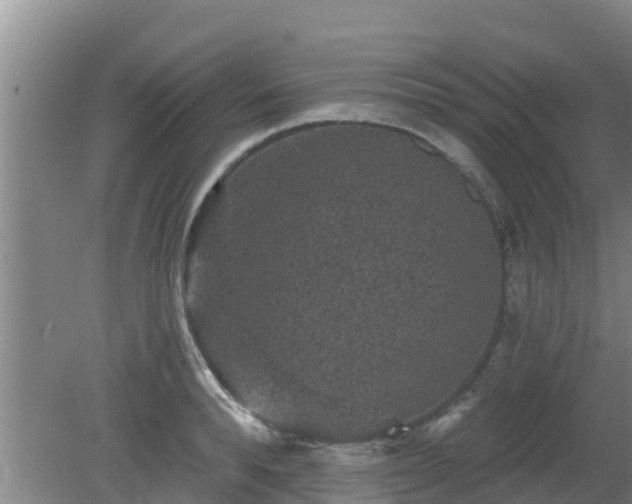 X0000080180896200612151945