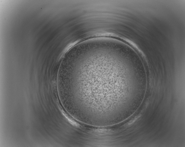 X0000080180897200612151945