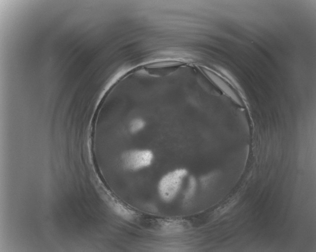 X0000080180899200612151945