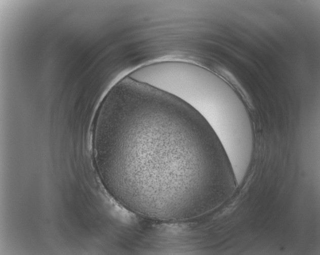 X0000080180900200612151945