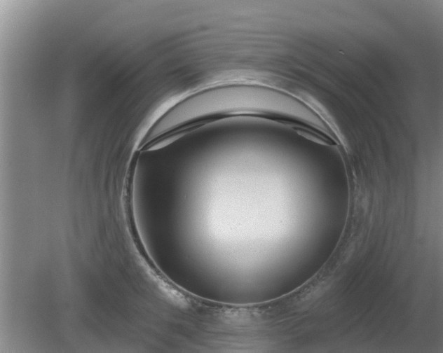 X0000080180901200612151945