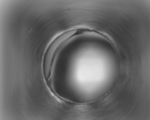 X0000080180902200612151945