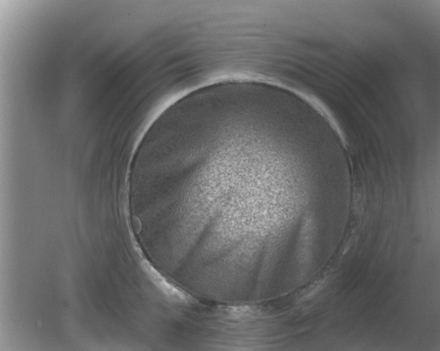 X0000080180903200612151945