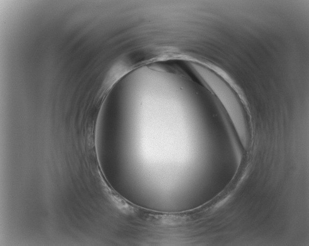 X0000080180905200612151945