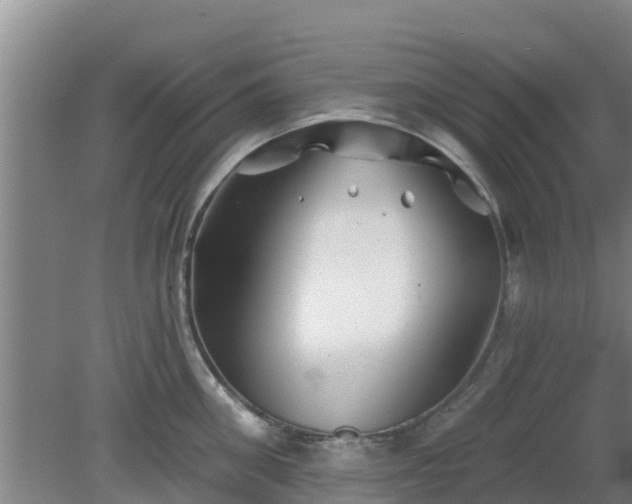 X0000080180906200612151945