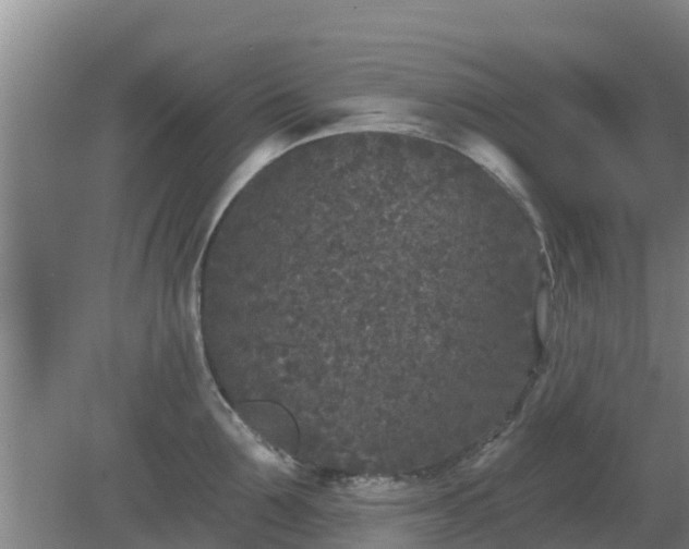 X0000080180907200612151945