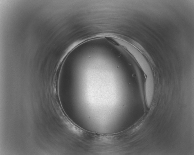 X0000080180908200612151945