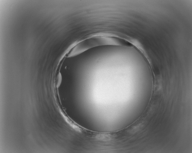 X0000080180909200612151945