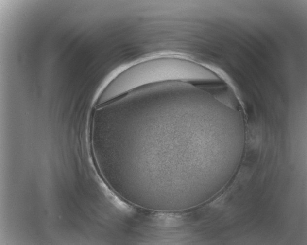 X0000080180910200612151945