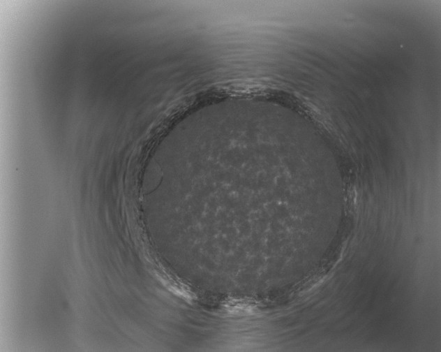 X0000080180913200612151944