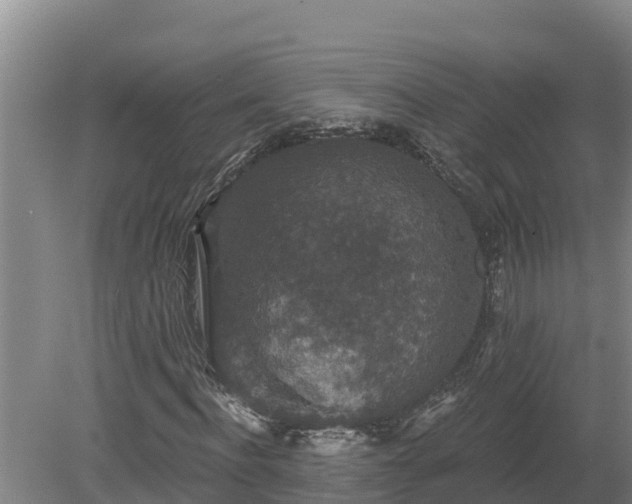 X0000080180916200612151944