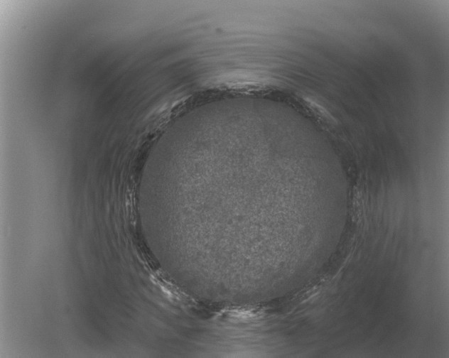 X0000080180917200612151944