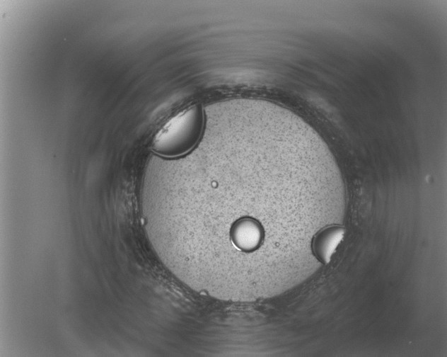 X0000080180918200612151944