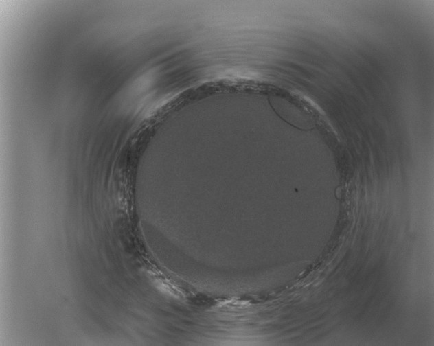 X0000080180919200612151944