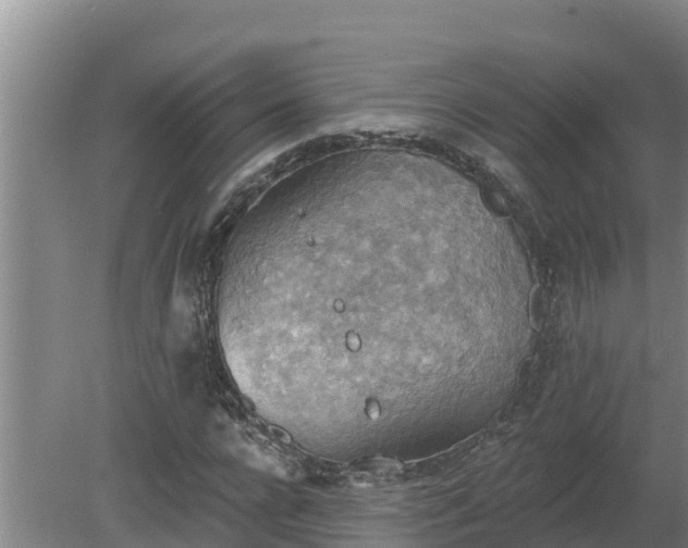 X0000080180920200612151944