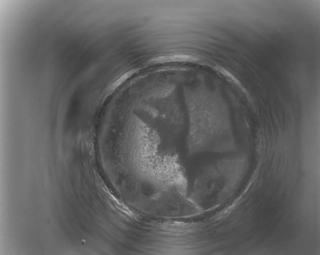 X0000080180921200612151944