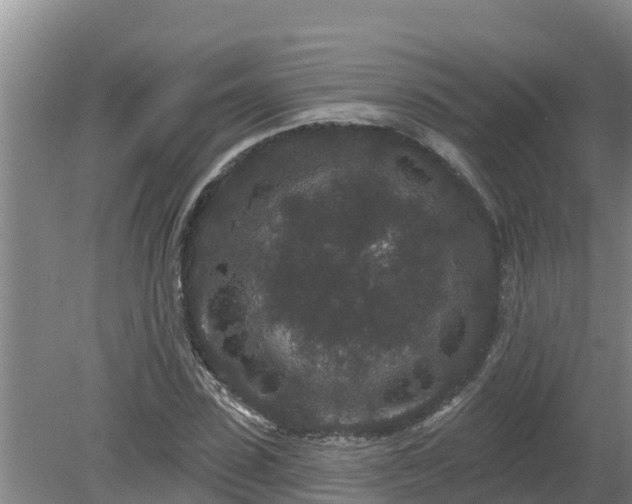 X0000080180923200612151944