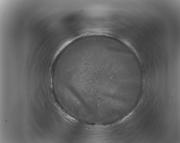 X0000080180925200612151944