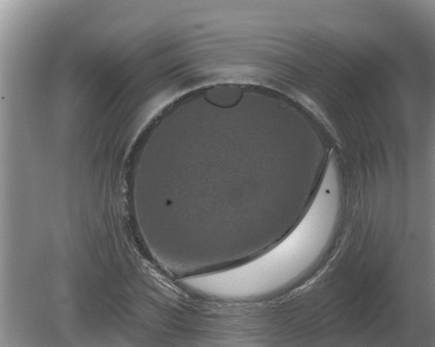 X0000080180926200612151944