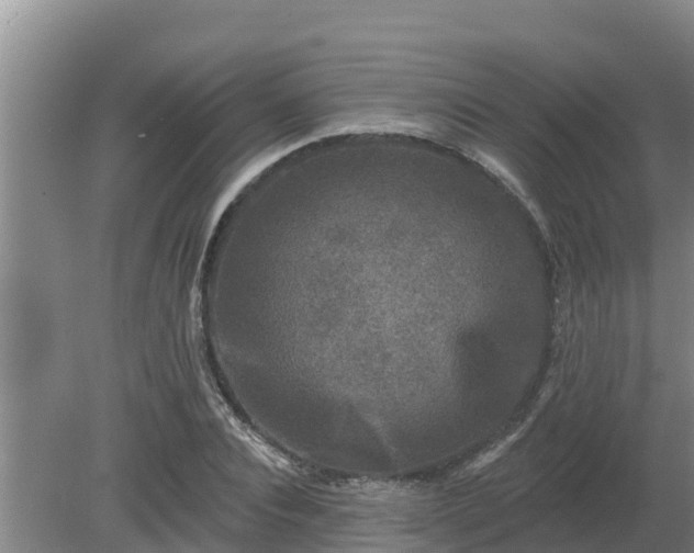 X0000080180928200612151944