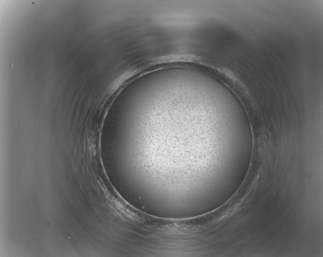 X0000080180929200612151944