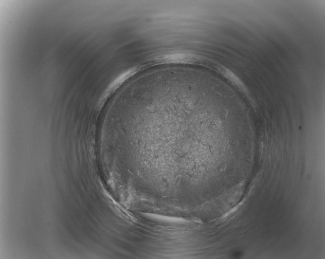 X0000080180930200612151944