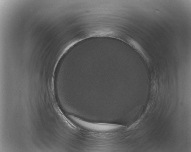 X0000080180932200612151944