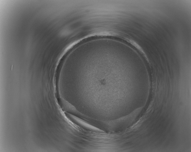 X0000080180935200612151944