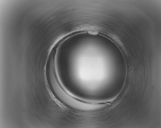 X0000080180936200612151945