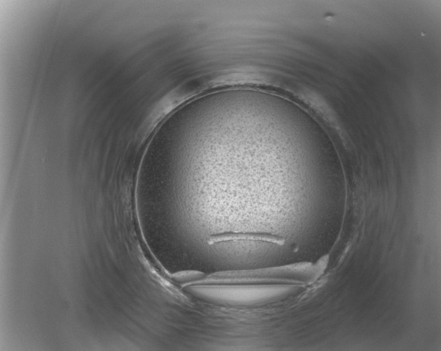 X0000080180937200612151945