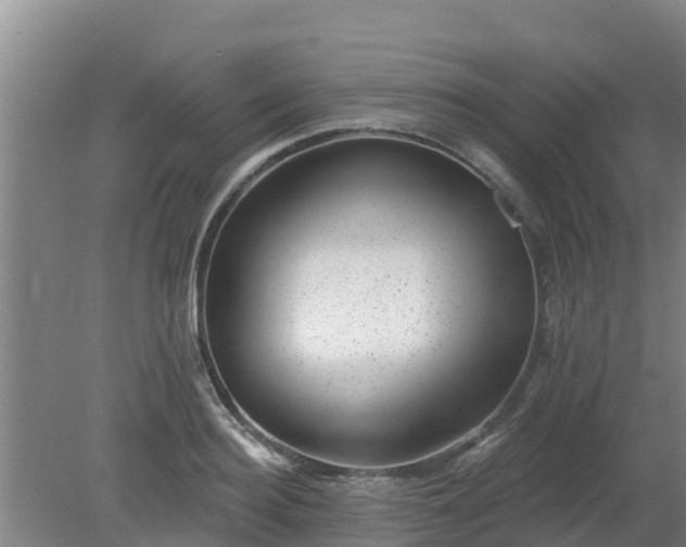 X0000080180940200612151945